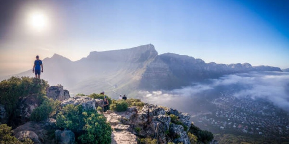 6 Activities in Cape Town, South Africa: An Eco-Friendly Vacation Guide