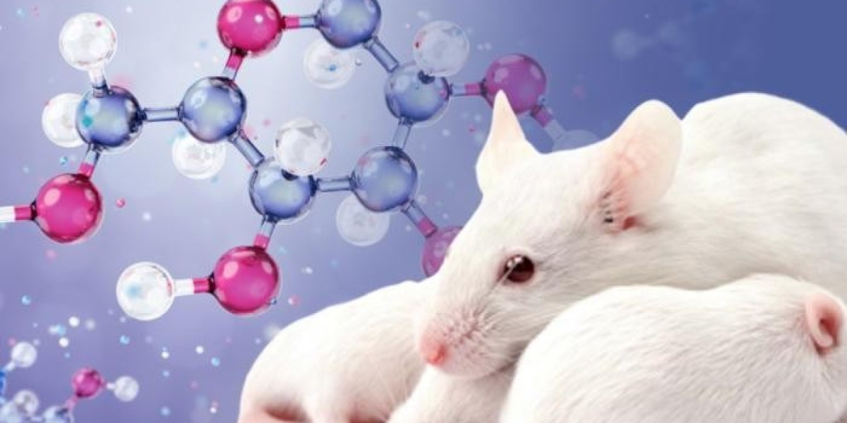 Animal Model Market Sees Steady Growth as Cancer and Genetic Research Intensifies