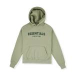 essentials hoodie