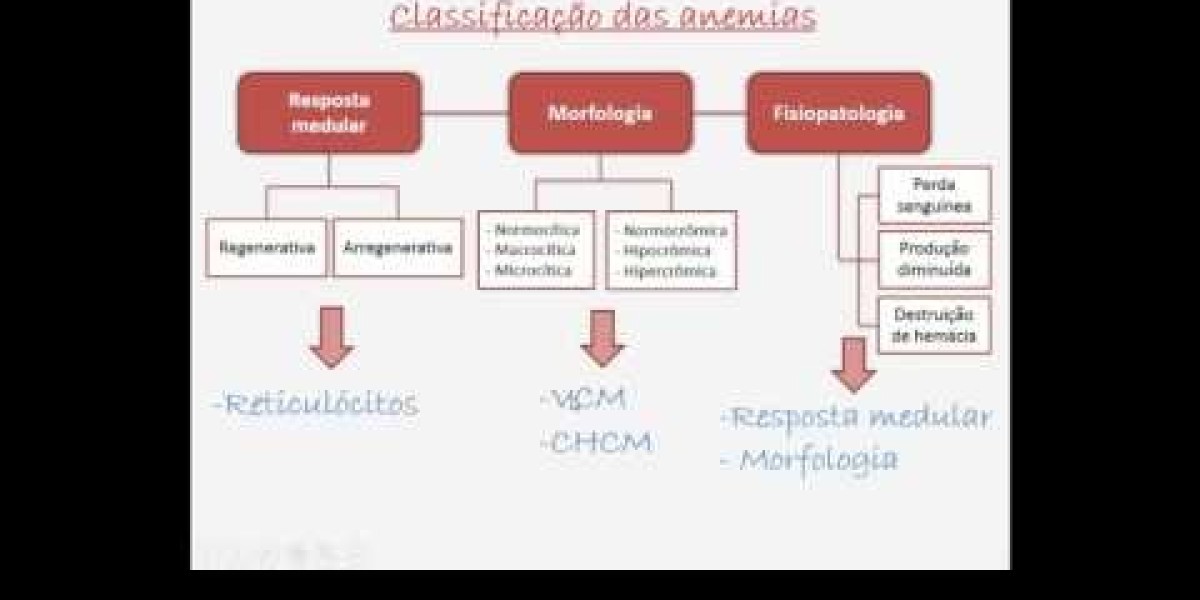 Entendendo o Diagnóstico de Dermatite em Cães: A Importância dos Exames Laboratoriais