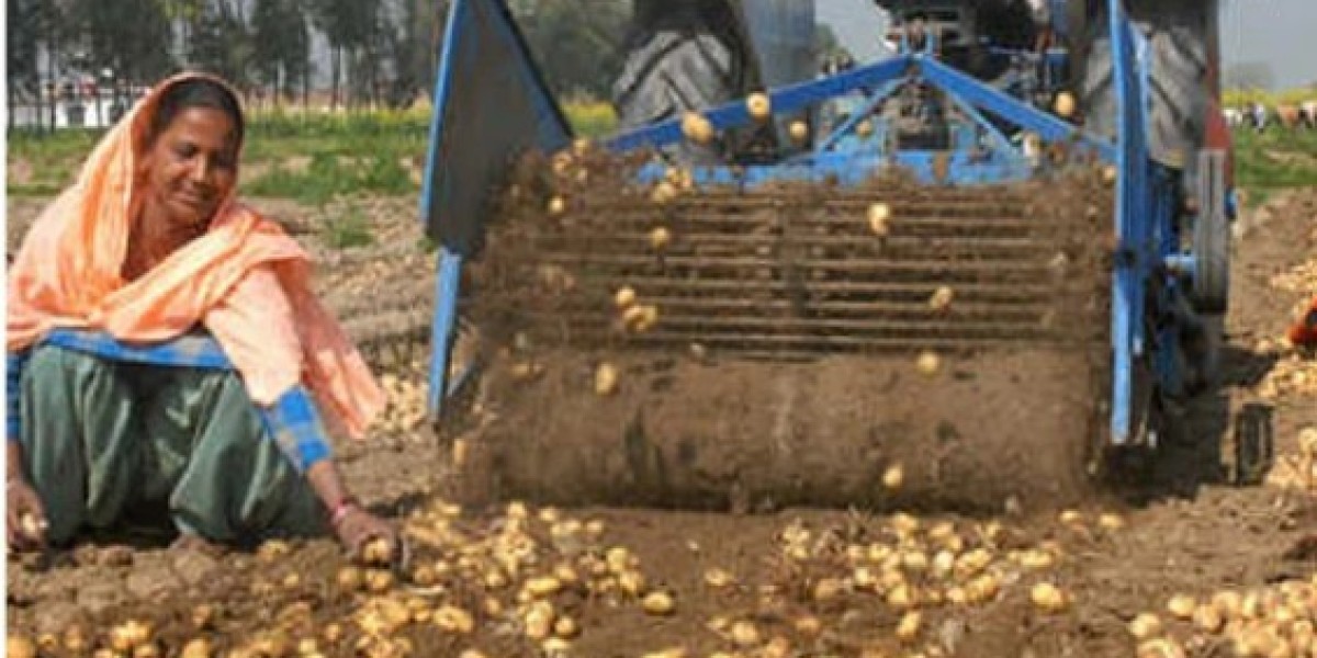 Leading States for Potato Cultivation