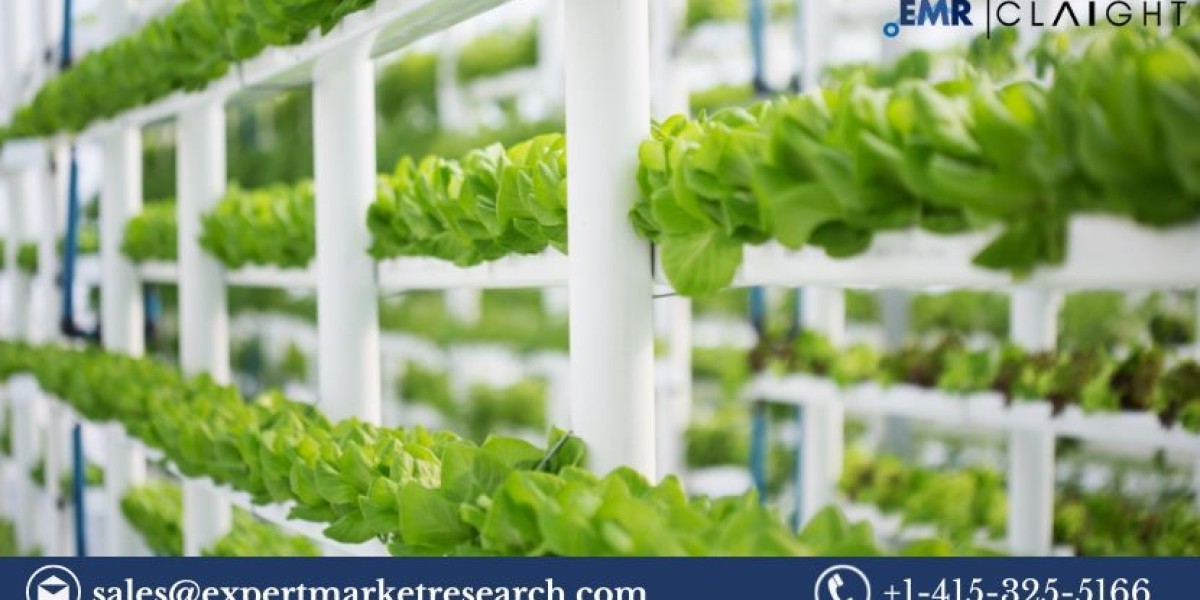 Vertical Farming Market Set to Surge: Growth to USD 30.54 Billion by 2033