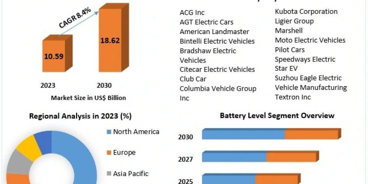 Low-Speed Vehicle Market Size and Forecast for 2030