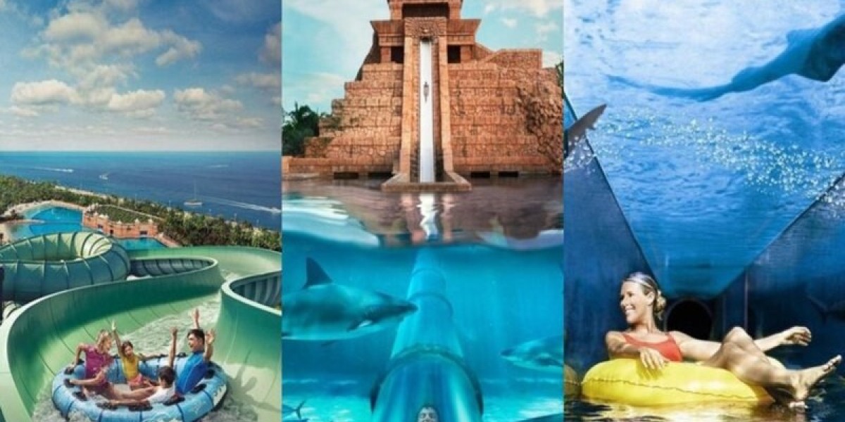 Feel the Rush: Atlantis Aquaventure Water Park's Best Rides