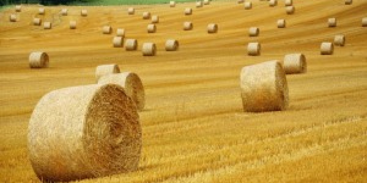 Saudi Arabia Alfalfa Hay Market Analysis: Key Drivers, Challenges & Growth Trends 2025-2032– The Report Cube