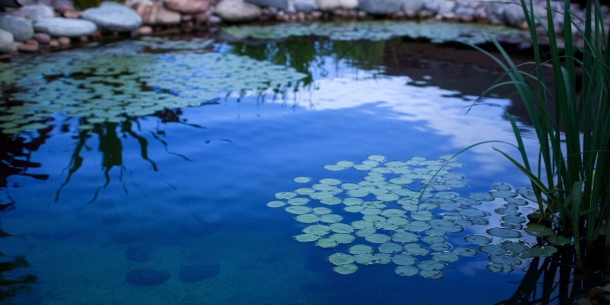 Illuminating Water Quality: Why UV Sterilizers Matter for Large-Scale Ponds