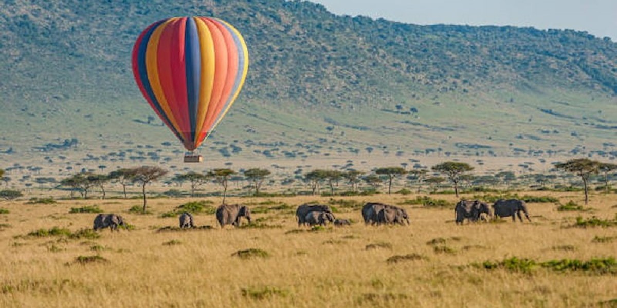 Top 7 must-see places in Kenya to visit