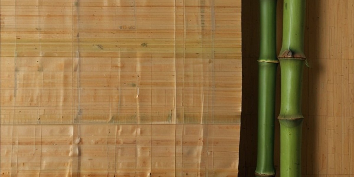 Bamboo Paper Manufacturing Plant 2024: Comprehensive Business Plan and Raw Material