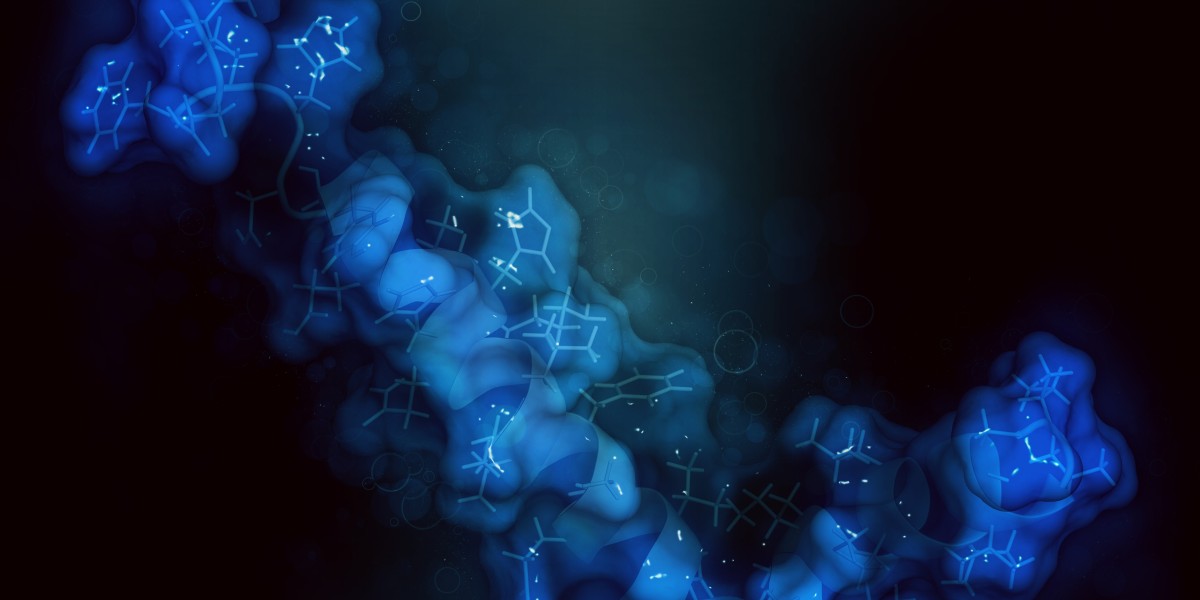 Circular Single-stranded DNA (ssDNA) Production