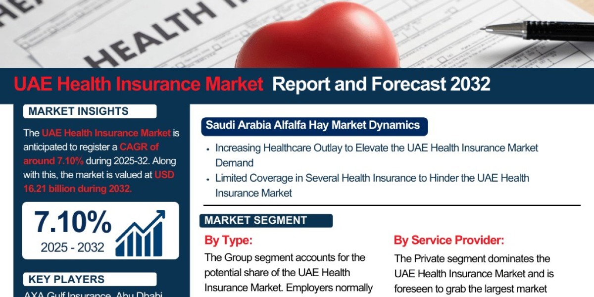 UAE Health Insurance Market Analysis: Key Drivers, Challenges & Growth Trends 2025-2032– The Report Cube