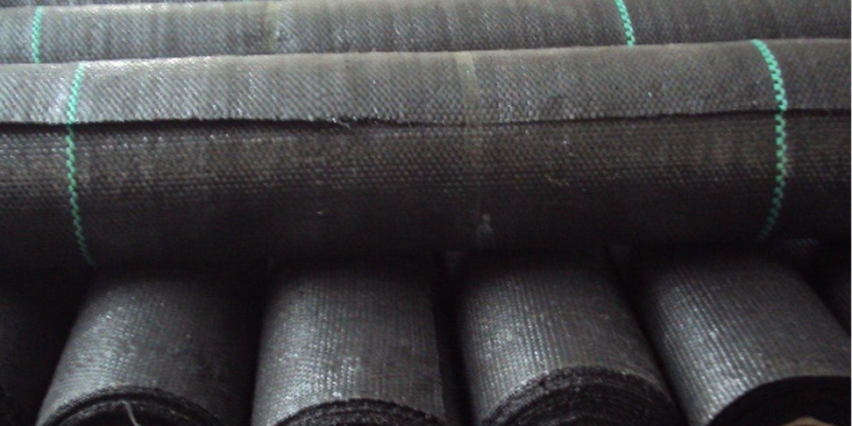 Revolutionizing Durability and Versatility: The Power of PP Woven Fabric