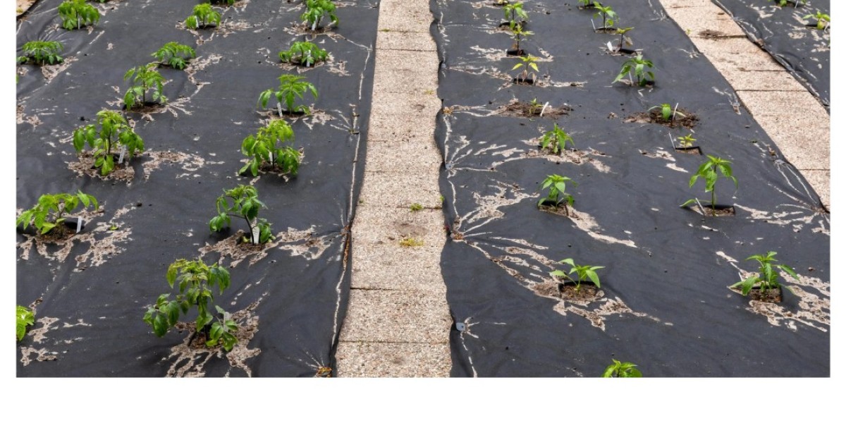 The Unsung Hero of the Garden: Weed Mats