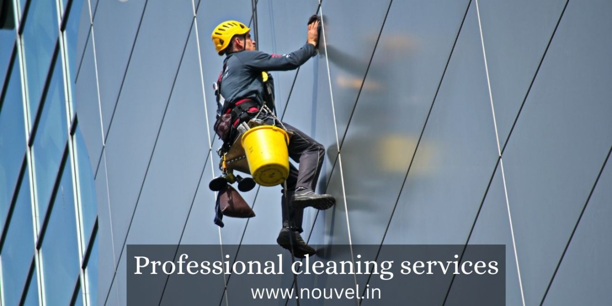 Professional Cleaning Services: Ensuring a Cleaner, Healthier Environment