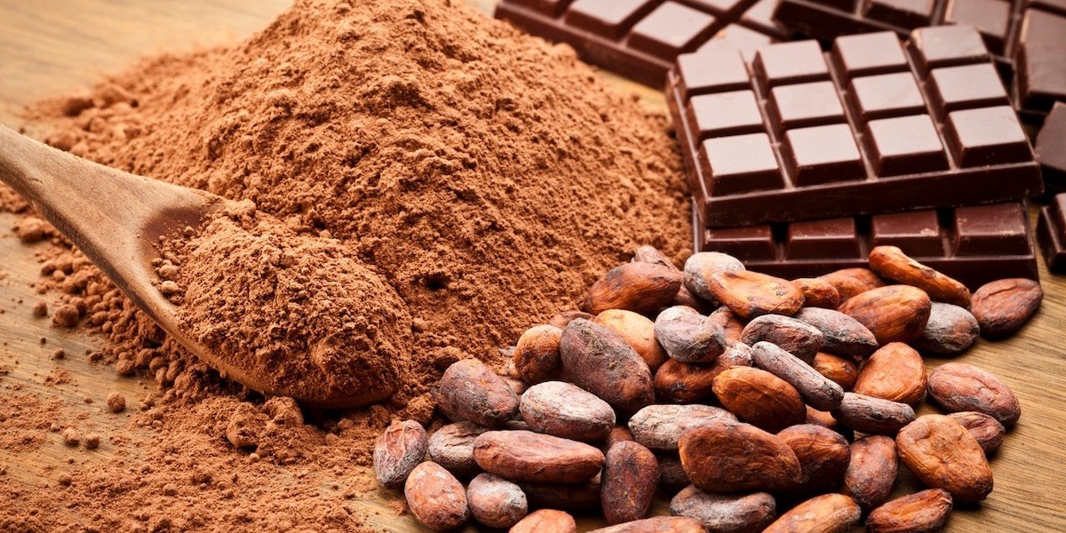 Cocoa Powder Manufacturing Plant Cost Report to Setting up an Unit | By IMARC Group