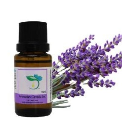 Lavender Essential Oil Profile Picture