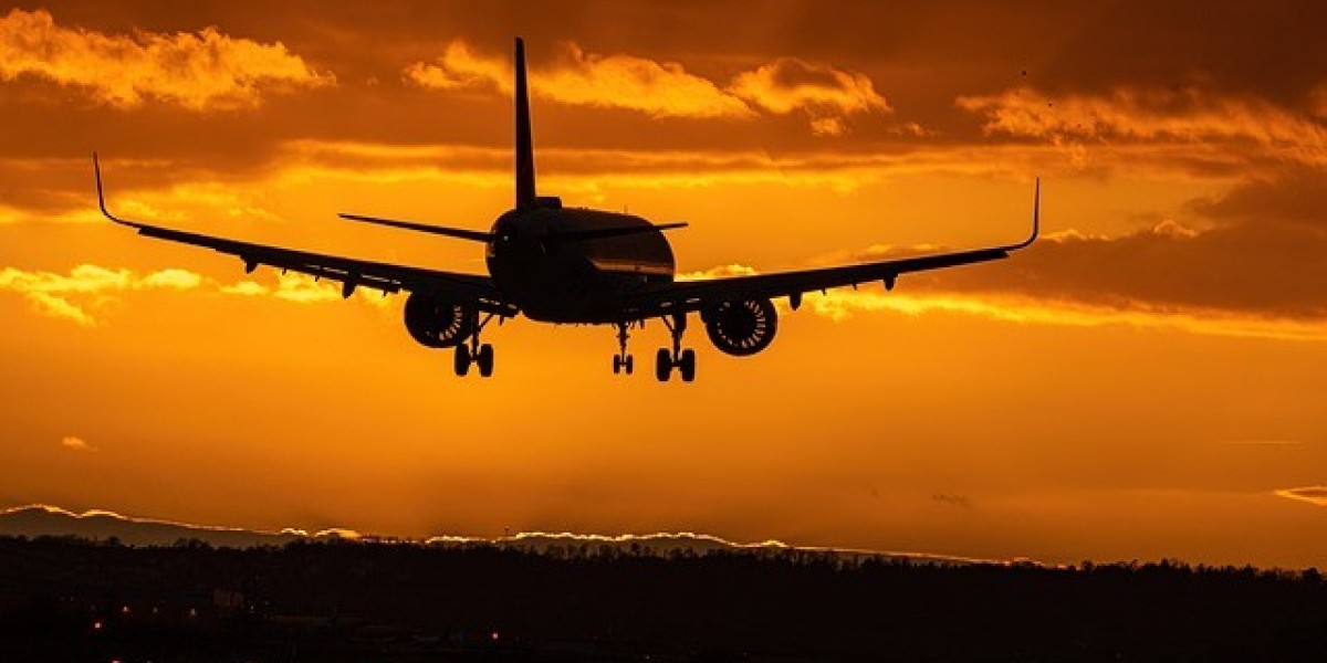 Comprehensive Travel Support at Air Algerie Office in London