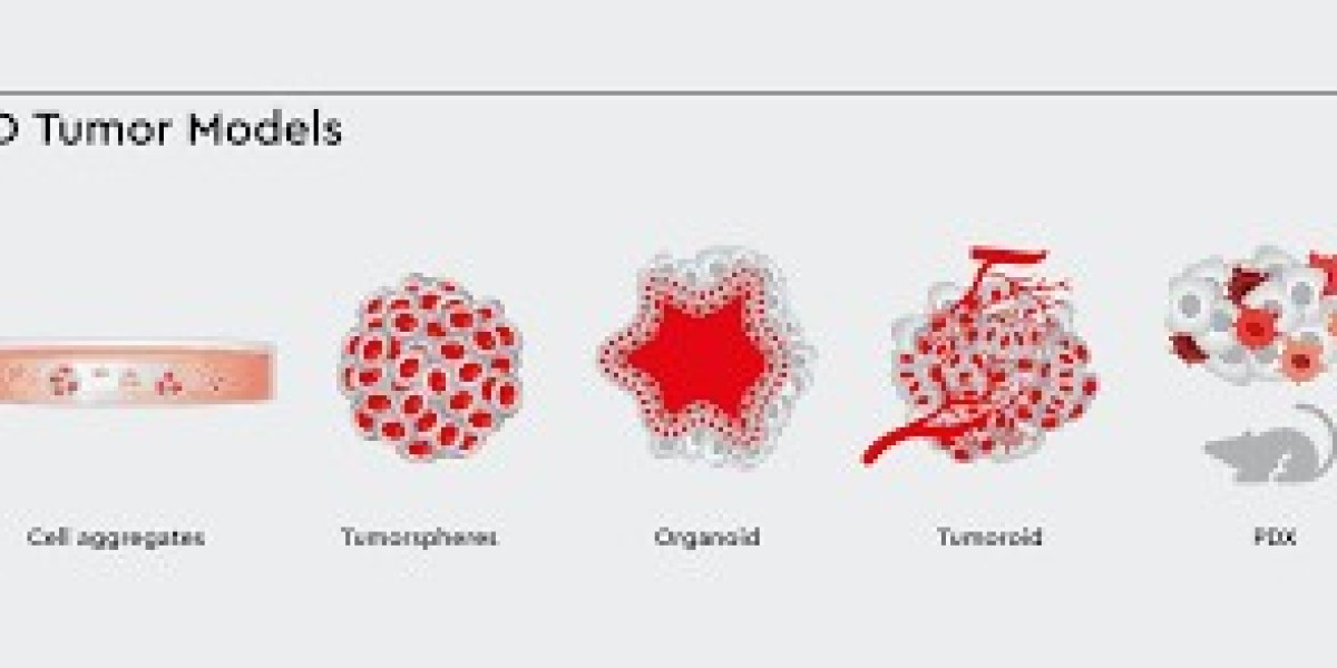 Tumor Models in Cancer Research