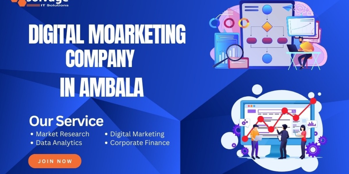 Digital Marketing Company in Ambala: Training With Solvage It Solutions