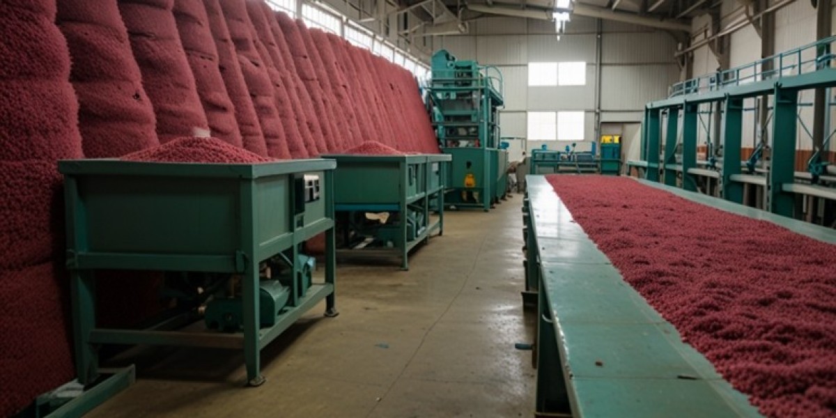 Amaranth Processing Plant Project Report 2024: Industry Trends and Unit Setup