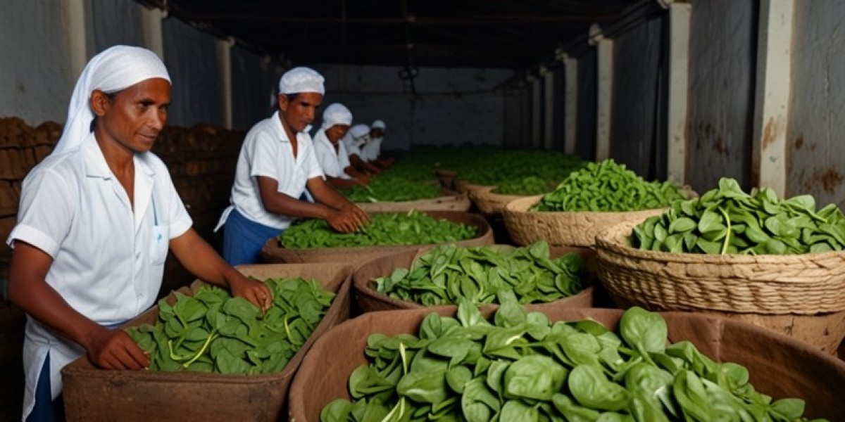 Ceylon Spinach Processing Plant 2025: Comprehensive Business Plan and Raw Material