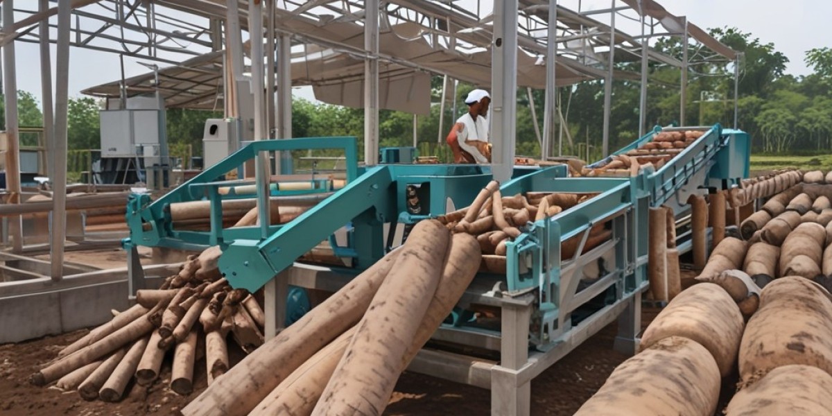 Cassava Processing Plant Report 2024: Cost Analysis and Raw Material Requirements