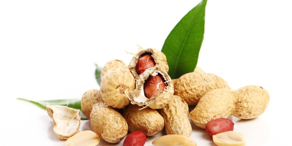 India’s Largest Groundnut Producers and Selling Trends in 2024