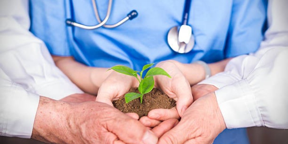 Understanding the Role of a Doctor for Plants in Urban Gardening