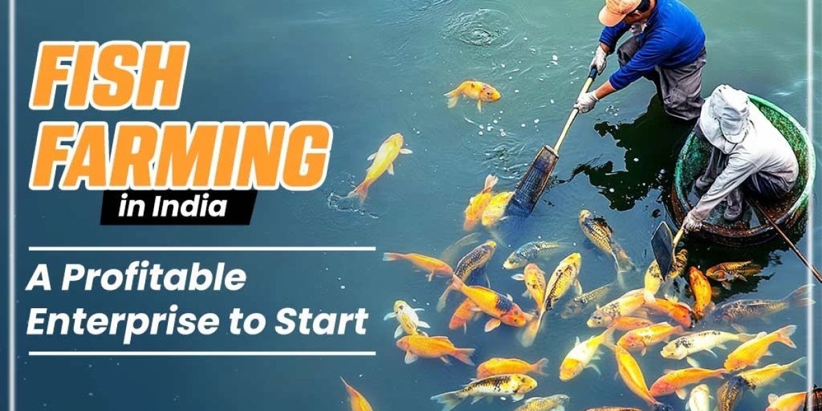 How to Start Fish Farming in India?