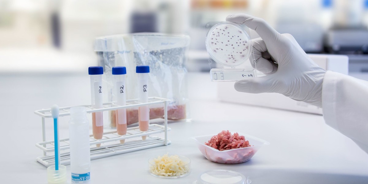 Microbiological Tests: An In-Depth Guide to Their Purpose and Benefits