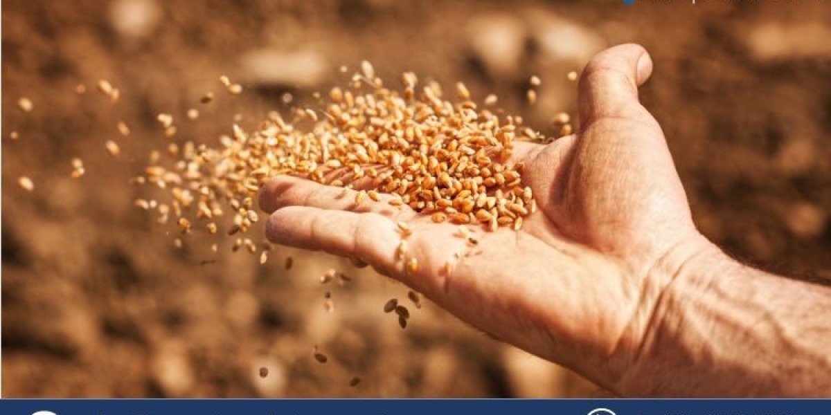 Wheat Seed Market (2025-2034): Trends, Growth Drivers, and Opportunities