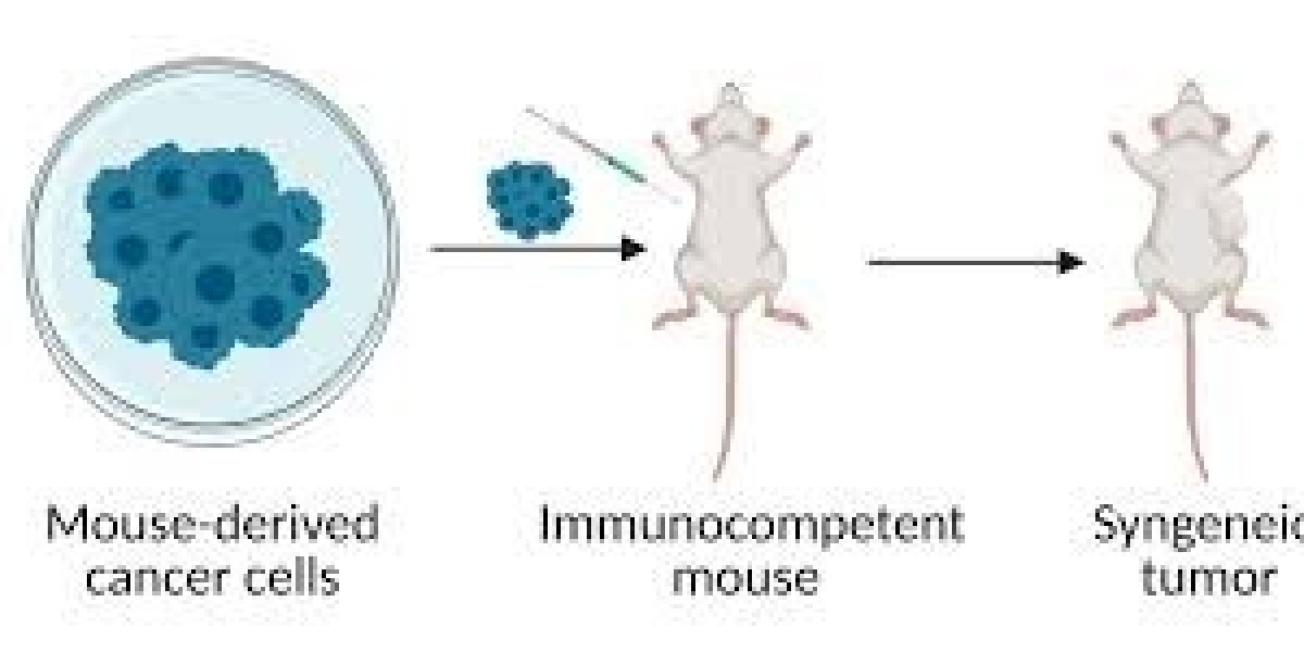 Animal Tumor Models in Cancer Research