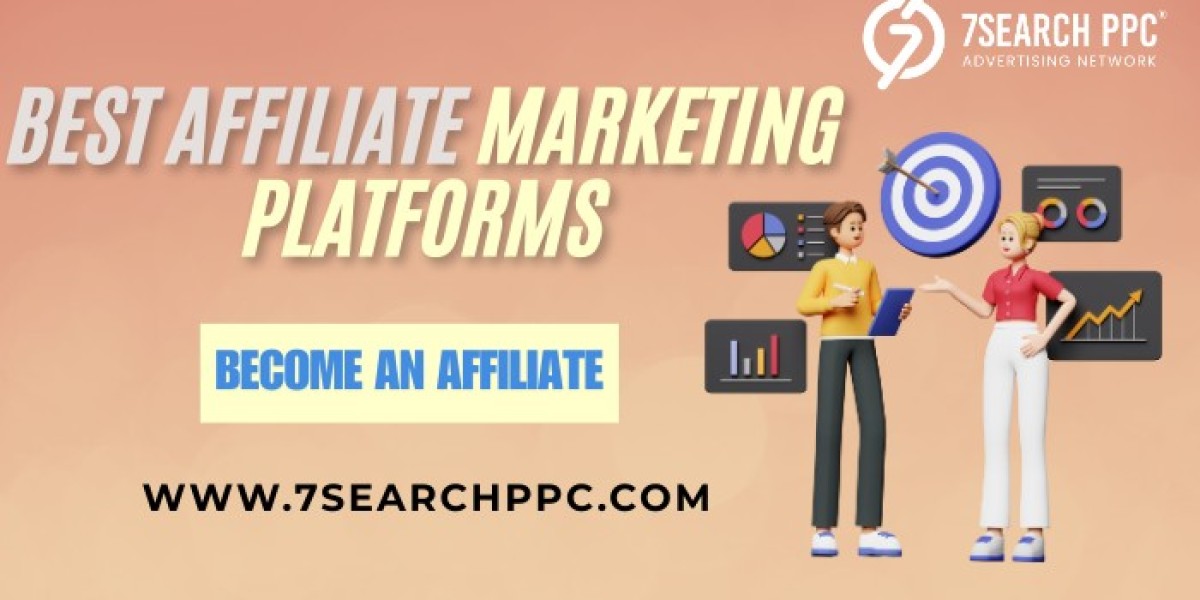 Best Affiliate Marketing Platforms for Beginners and Pros in 2025