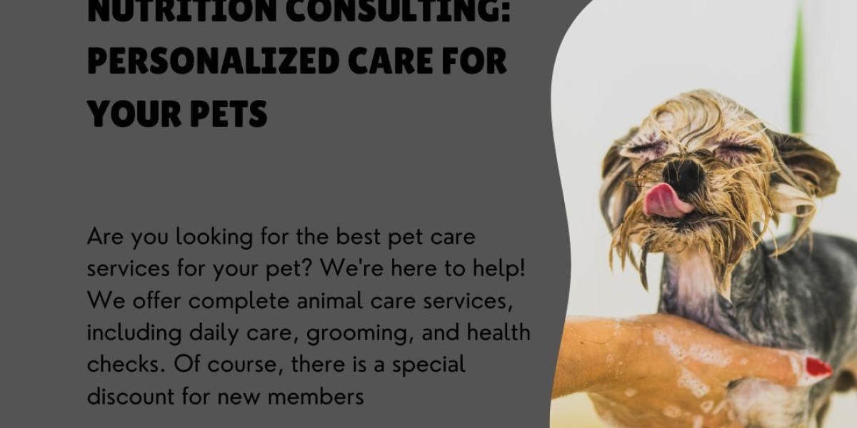 In-Home Veterinary Nutrition Consulting: Personalized Care for Your Pets