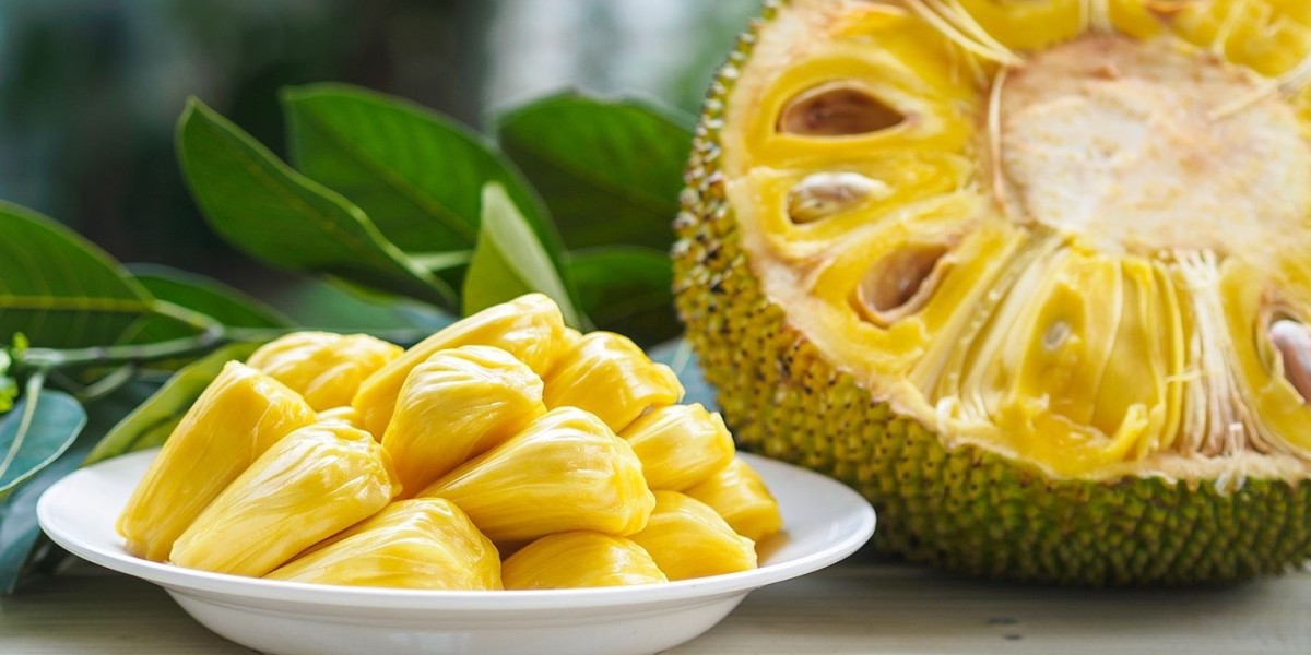 In-depth Analysis: Jackfruit Processing Plant Project Report 2025 - Requirements and Setup Cost