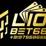 Lion Bet