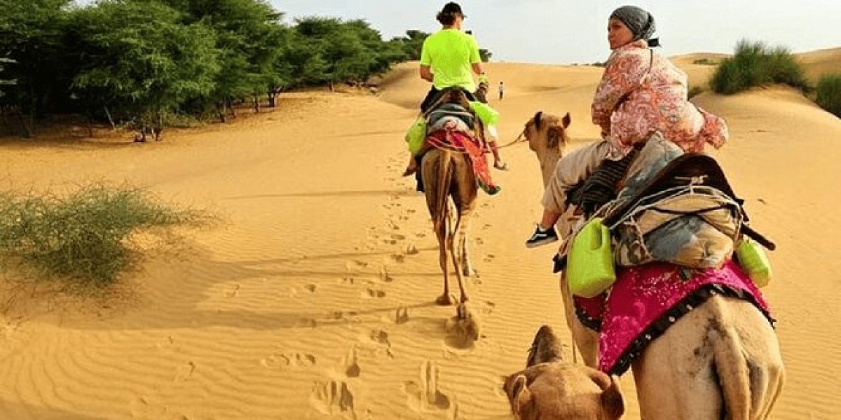 Exploring the Thar Desert: Top Safari Tours in Jaisalmer