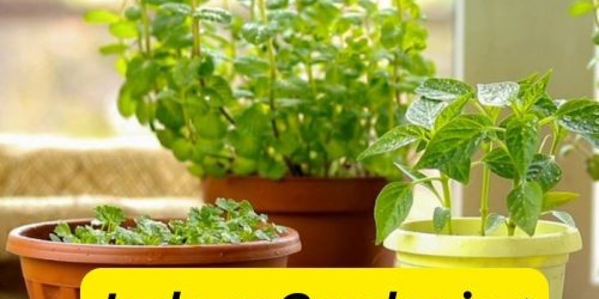 The Essential Guide to Indoor Gardening for Beginners