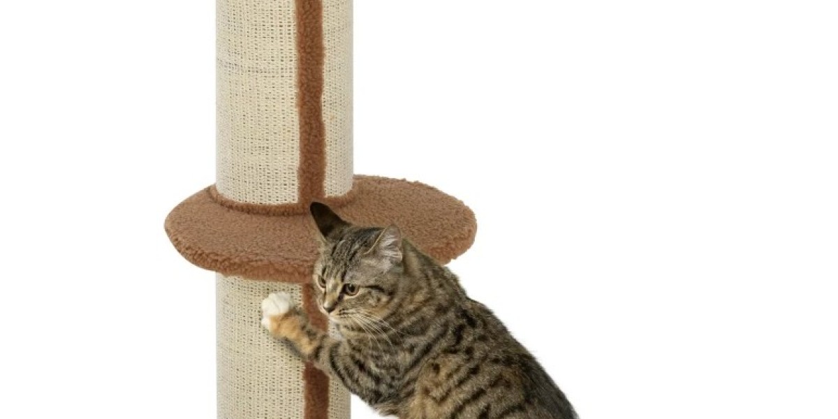 Unleash Your Cat's Inner Explorer: The Ultimate Guide to Cat Trees