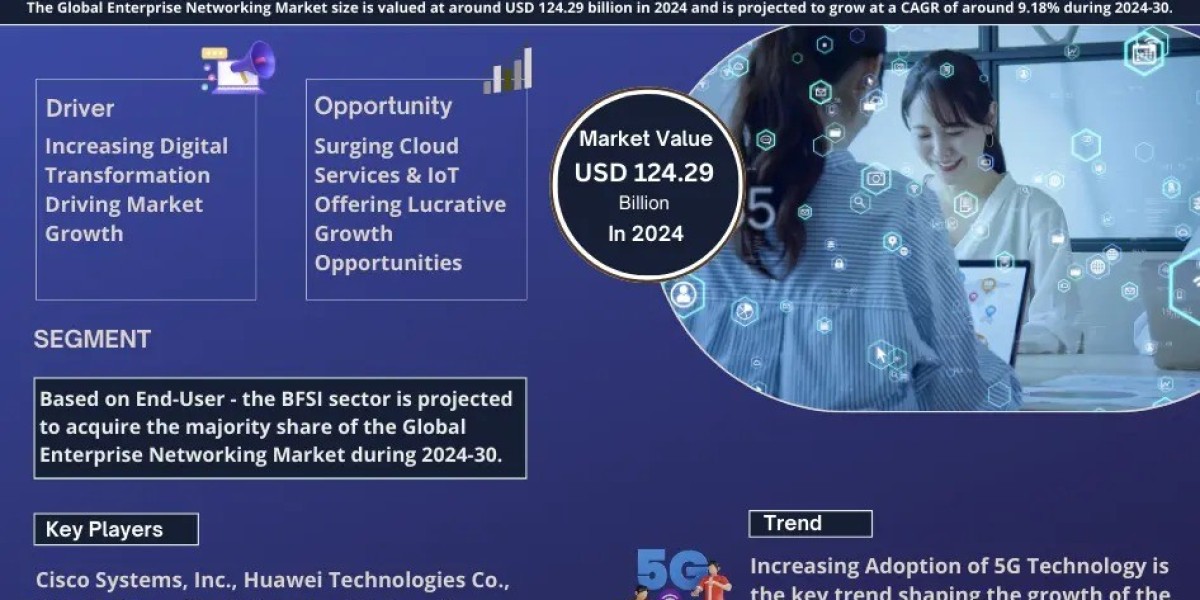 Enterprise Networking Market Growth and Development Insight - Size, Share, Growth, and Industry Analysis