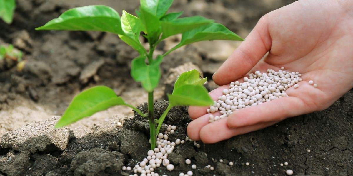 Australia Fertilizer Market: Trends, Drivers, and Future Outlook