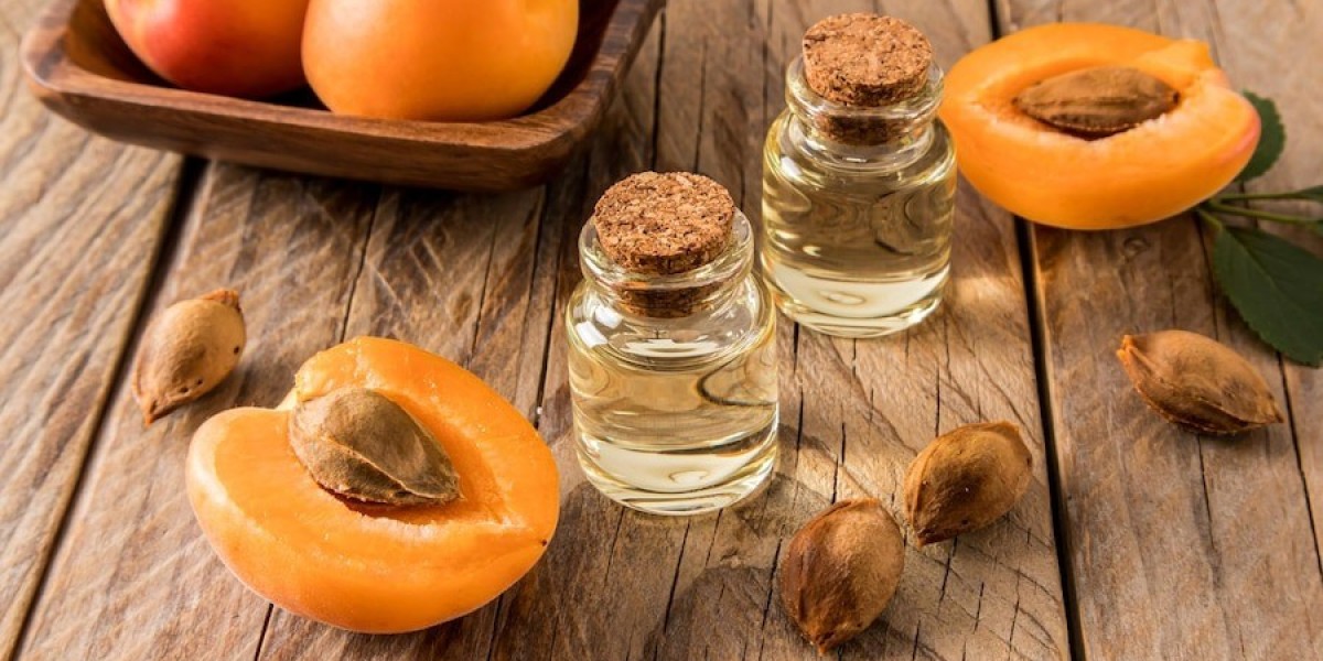 Keys to Running a Profitable Apricot Seed Oil Processing Plant Setup Report 2025: Cost Details