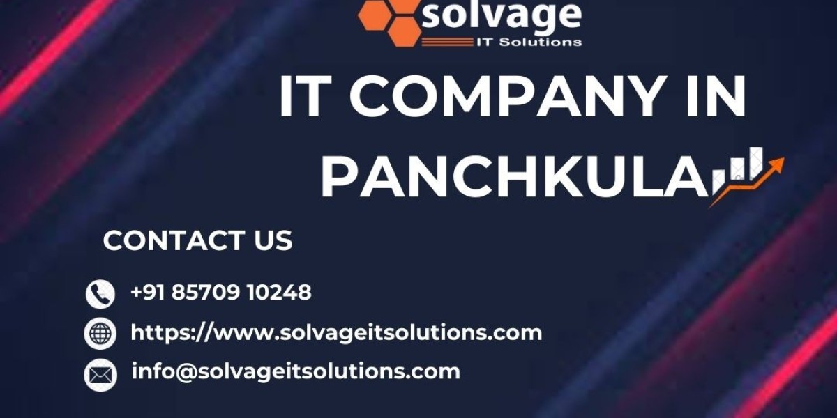 IT Company in Panchkula – Transforming Businesses with Technology