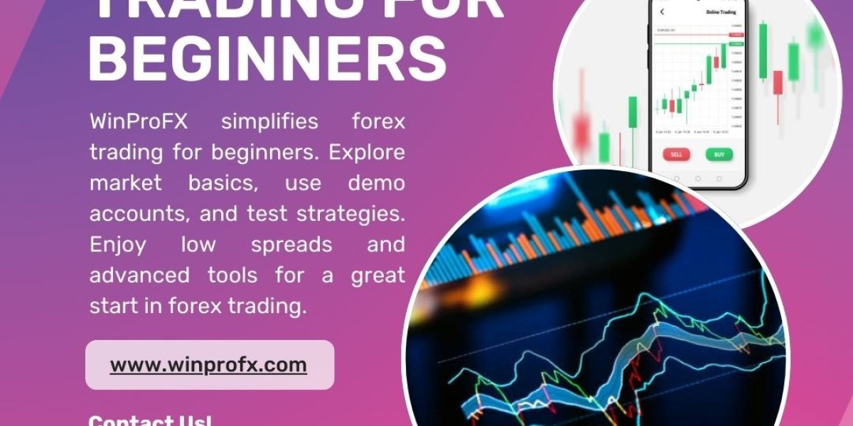 How Do Beginners Learn to Adjust Their Trading Plans on WinProFx?