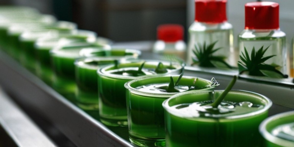 Aloe Vera Gel Manufacturing Plant Project Report 2025: Raw Materials, Investment Opportunities, Cost and Revenue