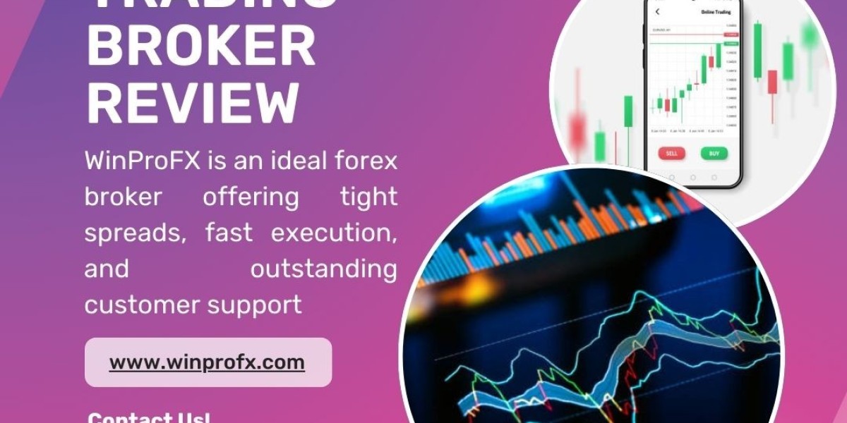 What Are the Key Features of WinProFx’s Forex Trading Interface?