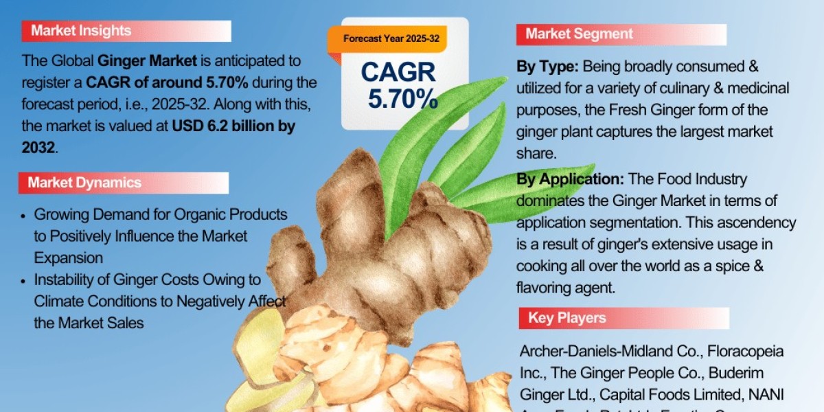 Ginger Market Analysis: Key Drivers, Challenges & Growth Trends 2025-2032