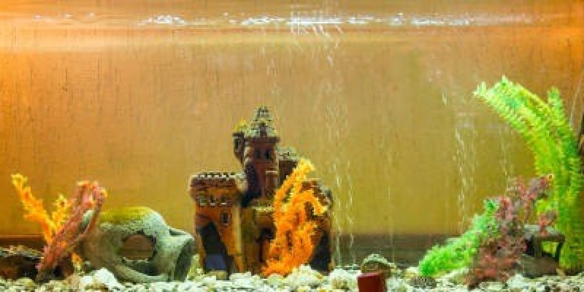 The Benefits of Premium Aquarium Services for Hotels in Dubai