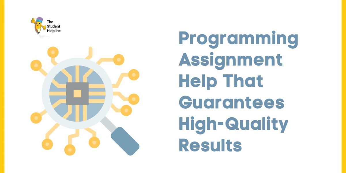 Programming Assignment Help That Guarantees High-Quality Results