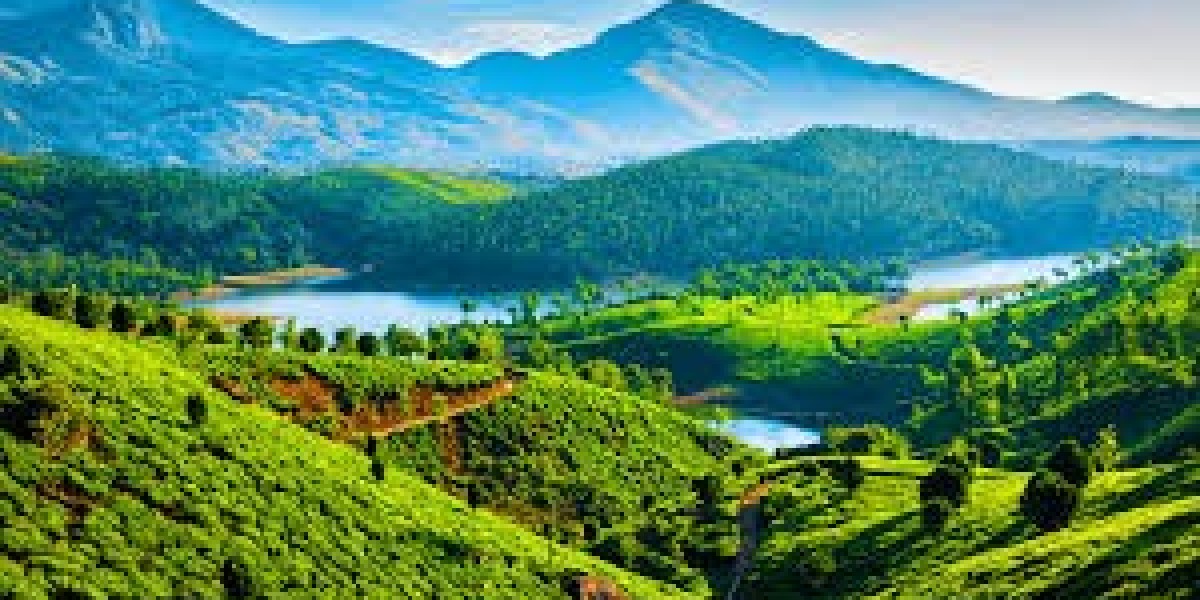 Discover the Magic of Holidays to Kerala, India