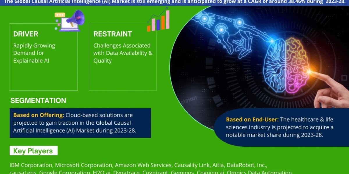 Global Causal Artificial Intelligence (AI) Market Comprehensive Analysis and Forecast 2023 to 2028